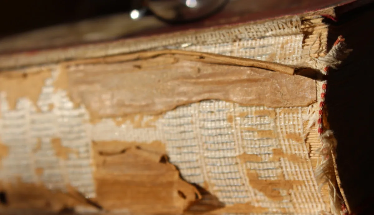 Coaching von Mag. Karlheinz Benke, MAS