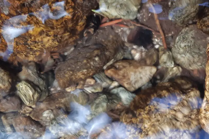 Dr. Mag. Karlheinz Benke