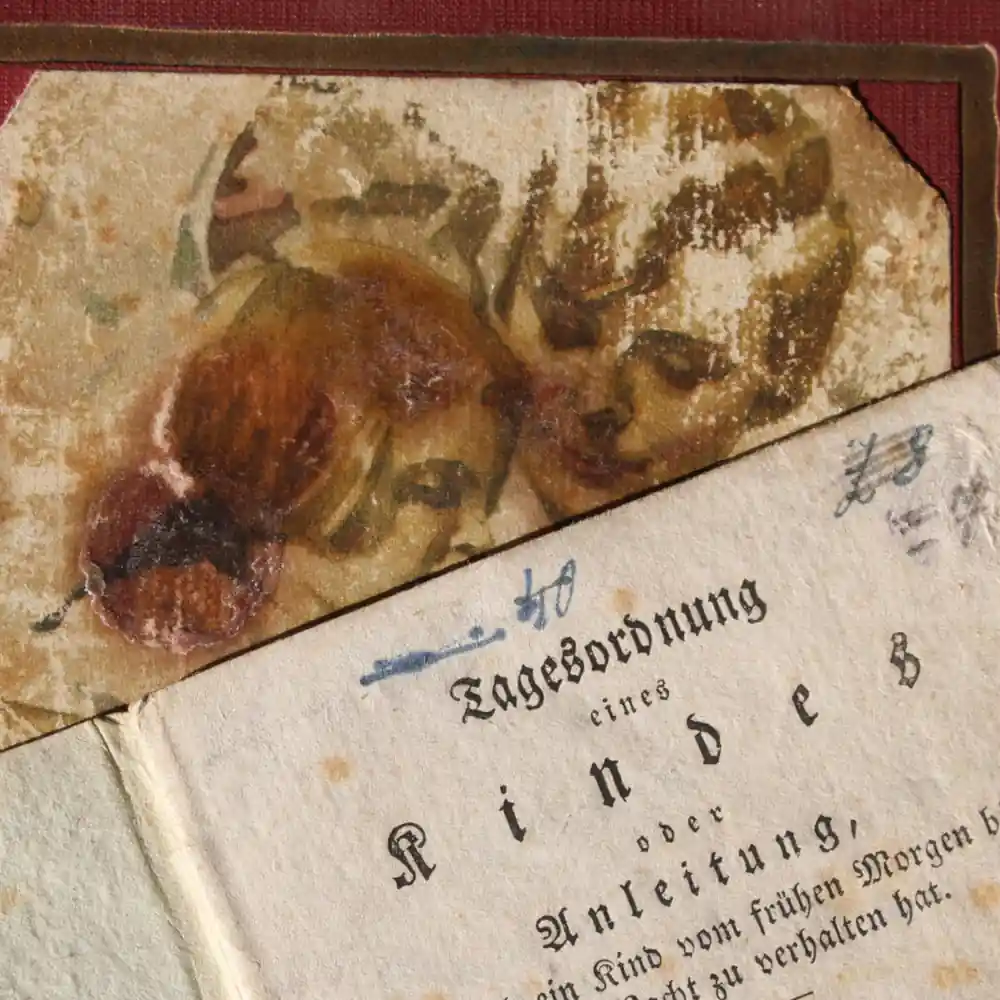 Pädagogik & Alternativpädagogik von Mag. Karlheinz Benke, MAS